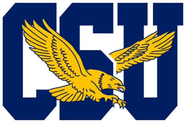 Coppin State Eagles 2017-Pres Primary Logo diy DTF decal sticker